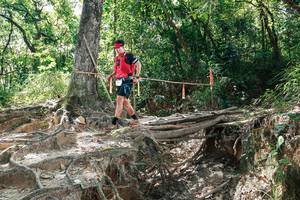 BIB: 
                            <button type="button" onclick="openModal(27800736)" class="btn btn-primary btn-sm float-right btn-popup" data-toggle="modal" data-target=".modal-high-quality">
                        <i class="fas fa-shopping-cart"></i> Add to Cart
                    </button>
                                            <button type="button" onclick="isThisMe(27800736, true)" class="btn btn-success btn-sm float-right btn-popup btn-isme hidden" data-toggle="tooltip" data-placement="bottom" title="นี่คือรูปของคุณใช่ไหม คลิกที่นี่เพื่อเอาเข้าอัลบั้ม">
                        <i class="fas fa-plus"></i> Add to album
                    </button>
                    <button type="button" onclick="isThisMe(27800736, false)" class="btn btn-warning btn-sm float-right btn-popup btn-isnotme hidden">
                        <i class="fas fa-ban"></i> Remove from album
                    </button>